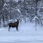 Feriehus Narnia Lofoten Gimsoy