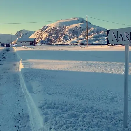Narnia Lofoten Gimsoy