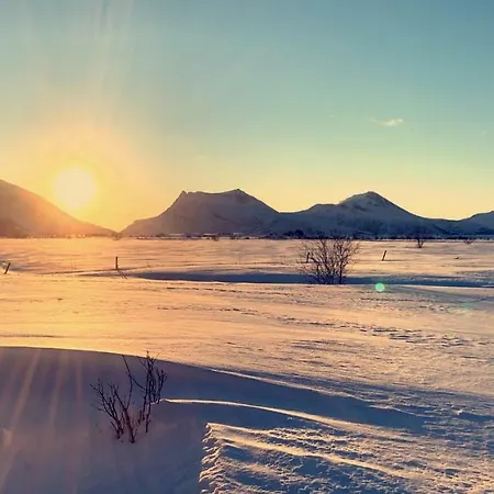 Narnia Lofoten Gimsoy