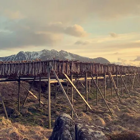 Narnia Lofoten *