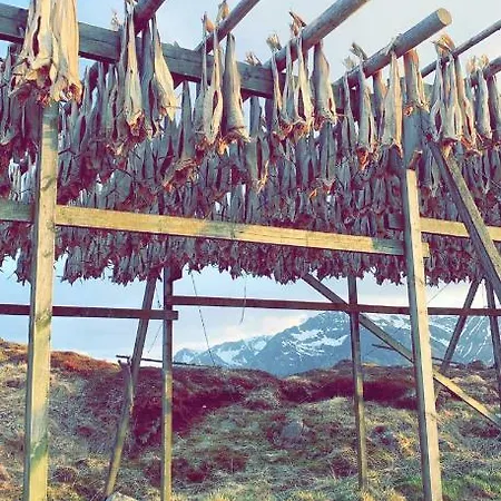 Narnia Lofoten Prázdninový dům