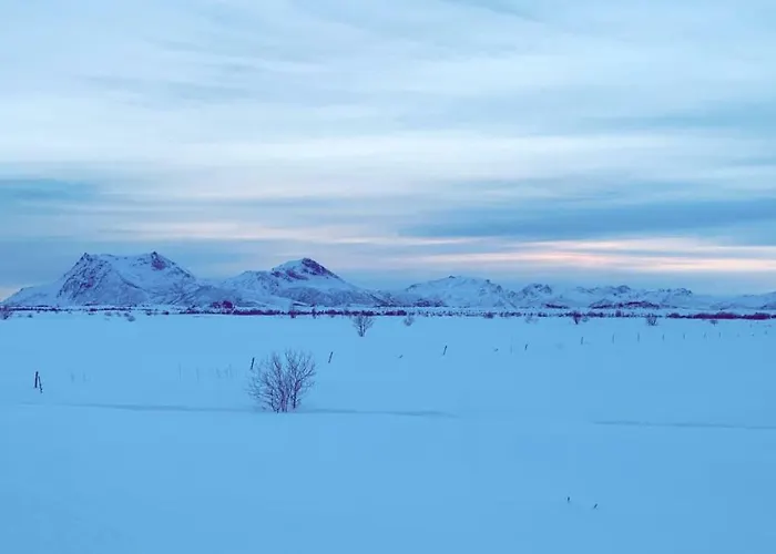 Narnia Lofoten * Gimsoy