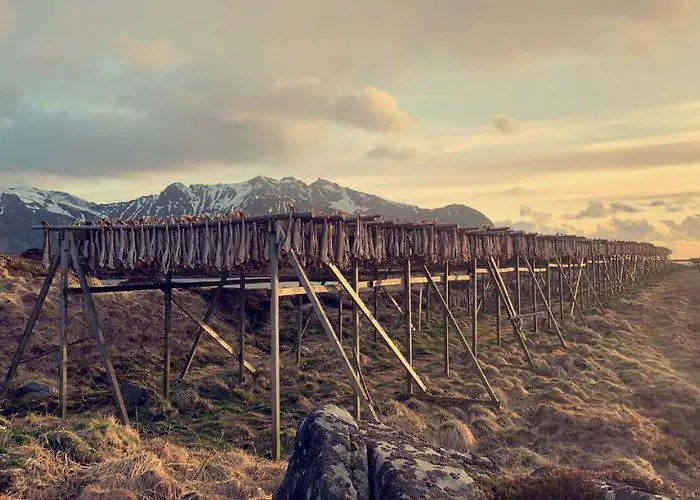 Narnia Lofoten *