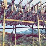 Narnia Lofoten Casa vacanze