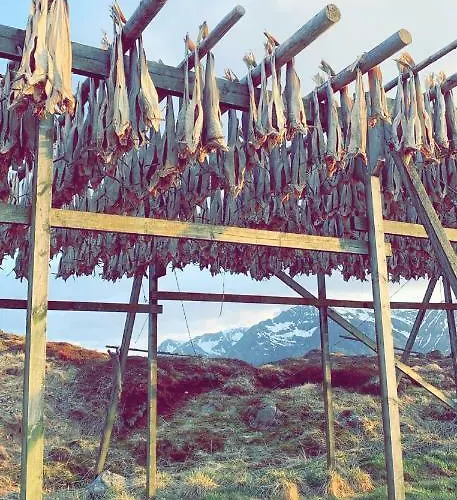 Narnia Lofoten Prázdninový dům